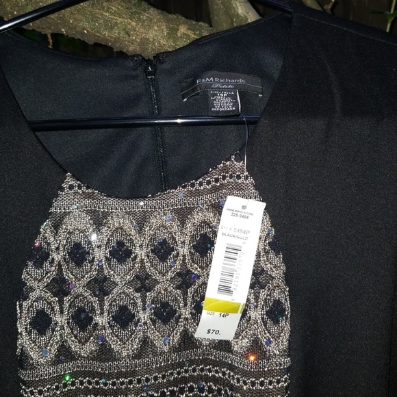 ✨ R&M RICHARDS 14P PARTY DRESS NWT✨ - Picture 2 of 6